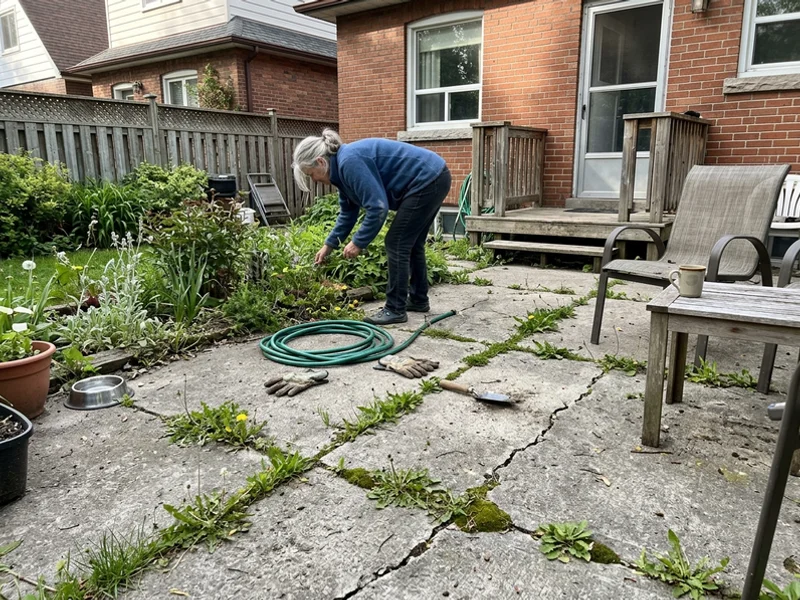 Cracked and settled backyard patio before replacement